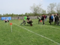 Tarnogóra 2016 fot. Janusz Motyka (116)