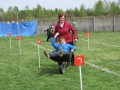 Tarnogóra 2016 fot. Janusz Motyka (132)