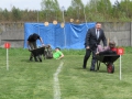Tarnogóra 2016 fot. Janusz Motyka (147)