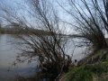 DSC07790
