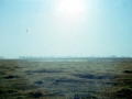 tarnog0001a