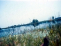 tarnog0012x