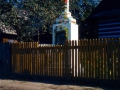 tarnog0038