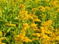 IMG_20200815_145653