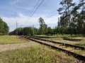 IMG_20200815_151956