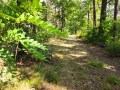 IMG_20200815_152750