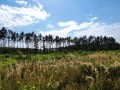 IMG_20200815_154611