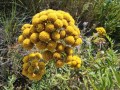 IMG_20200815_154716