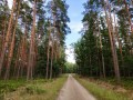 IMG_20200815_172041