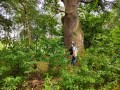 IMG_20200815_173605