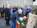 Tarnogóra fot. Janusz Motyka@ (135)