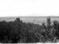 Scan-151215-0024