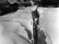 Scan-151215-0028