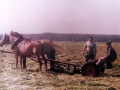 Scan-151215-0042
